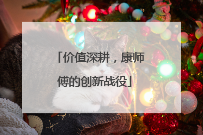 价值深耕，康师傅的创新战役