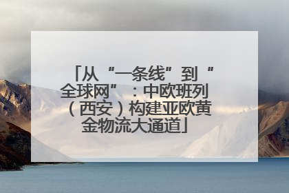 从“一条线”到“全球网”：中欧班列（西安）构建亚欧黄金物流大通道