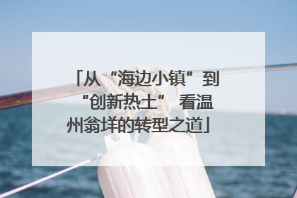从“海边小镇”到“创新热土” 看温州翁垟的转型之道