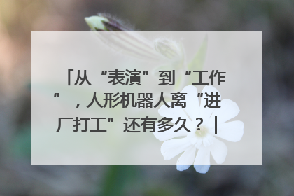 从“表演”到“工作”，人形机器人离“进厂打工”还有多久？｜机器人商业新纪元
