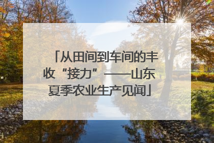从田间到车间的丰收“接力”——山东夏季农业生产见闻