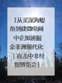 从买深海鳀鱼到建微电网 中企加速掘金非洲现代化｜直击中非经贸博览会