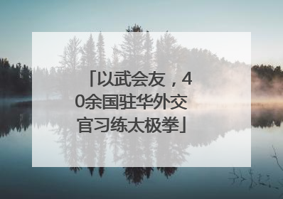 以武会友，40余国驻华外交官习练太极拳