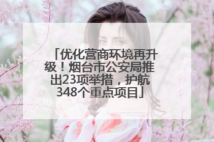 优化营商环境再升级！烟台市公安局推出23项举措，护航348个重点项目