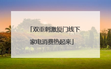 双重刺激厦门线下家电消费热起来