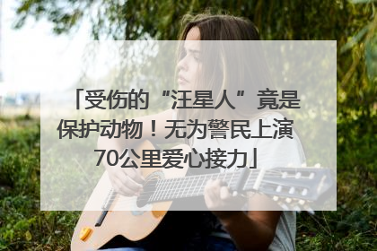 受伤的“汪星人”竟是保护动物！无为警民上演70公里爱心接力