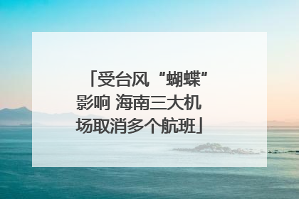 受台风“蝴蝶”影响 海南三大机场取消多个航班