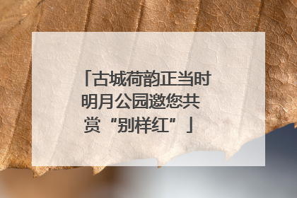 古城荷韵正当时 明月公园邀您共赏“别样红”