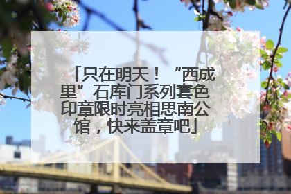 只在明天！“西成里”石库门系列套色印章限时亮相思南公馆，快来盖章吧