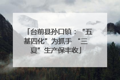 台前县孙口镇：“五基四化”为抓手 “三夏”生产保丰收