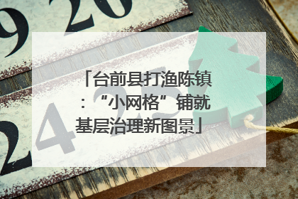 台前县打渔陈镇：“小网格”铺就基层治理新图景