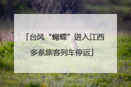 台风“蝴蝶”进入江西 多条旅客列车停运