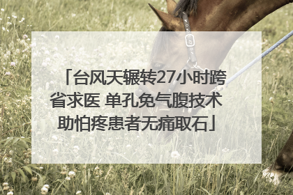 台风天辗转27小时跨省求医 单孔免气腹技术助怕疼患者无痛取石
