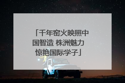 千年窑火映照中国智造 株洲魅力惊艳国际学子