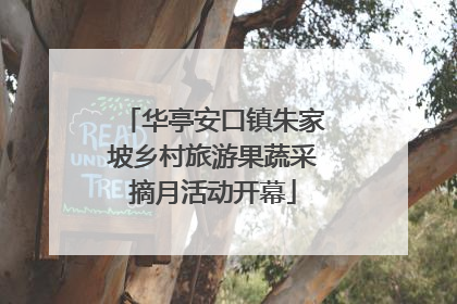 华亭安口镇朱家坡乡村旅游果蔬采摘月活动开幕