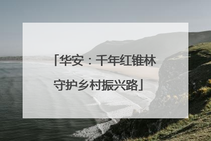 华安：千年红锥林守护乡村振兴路