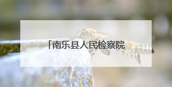 南乐县人民检察院开展“我们的节日·端午”包粽子活动