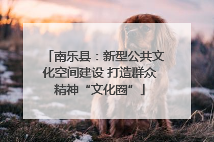 南乐县：新型公共文化空间建设 打造群众精神“文化圈”