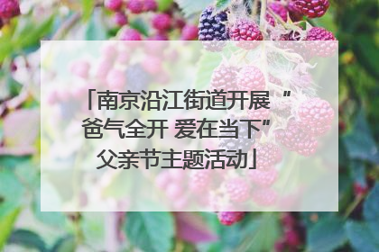 南京沿江街道开展“爸气全开 爱在当下”父亲节主题活动