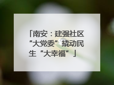 南安：建强社区“大党委”撬动民生“大幸福”