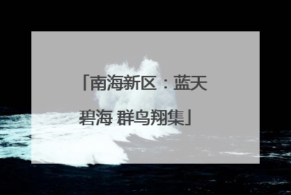 南海新区：蓝天碧海 群鸟翔集