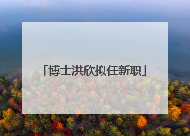 博士洪欣拟任新职