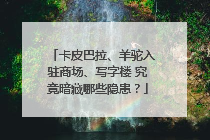 卡皮巴拉、羊驼入驻商场、写字楼 究竟暗藏哪些隐患？