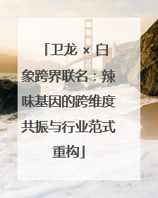 卫龙 × 白象跨界联名：辣味基因的跨维度共振与行业范式重构