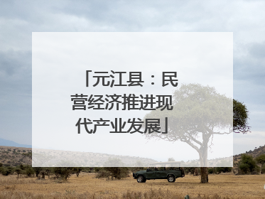 元江县：民营经济推进现代产业发展