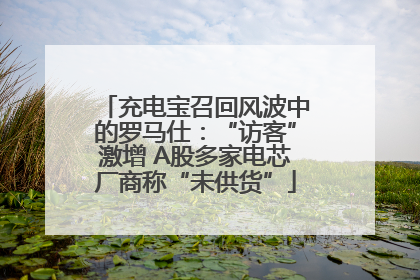 充电宝召回风波中的罗马仕：“访客”激增 A股多家电芯厂商称“未供货”