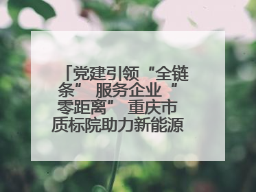 党建引领“全链条” 服务企业“零距离” 重庆市质标院助力新能源汽车产业链提升质量管理水平