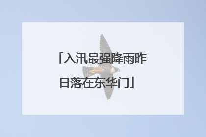 入汛最强降雨昨日落在东华门