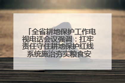 全省耕地保护工作电视电话会议强调：扛牢责任守住耕地保护红线 系统施治夯实粮食安全根基 王宁作出批示 王予波出席并讲话