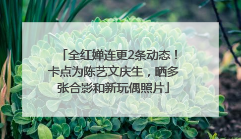 全红婵连更2条动态！卡点为陈艺文庆生，晒多张合影和新玩偶照片