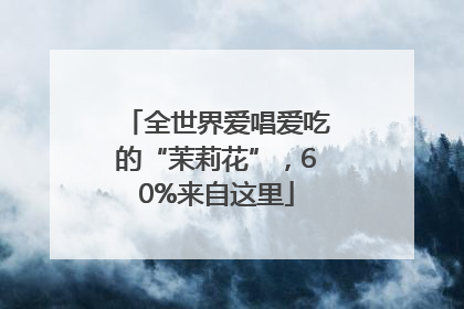 全世界爱唱爱吃的“茉莉花”，60%来自这里