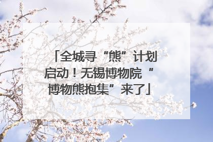 全城寻“熊”计划启动！无锡博物院“博物熊抱集”来了