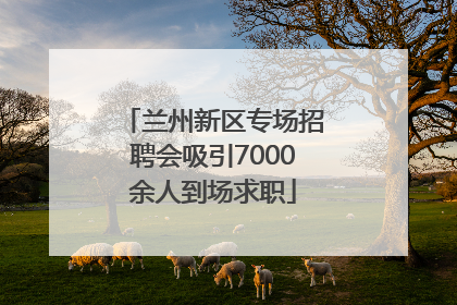 兰州新区专场招聘会吸引7000余人到场求职