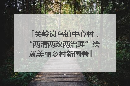 关岭岗乌镇中心村：“两清两改两治理”绘就美丽乡村新画卷