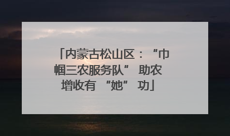 内蒙古松山区：“巾帼三农服务队” 助农增收有 “她” 功