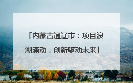 内蒙古通辽市：项目浪潮涌动，创新驱动未来