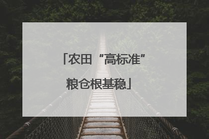 农田“高标准” 粮仓根基稳