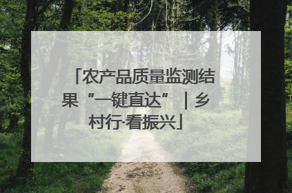 农产品质量监测结果“一键直达”｜乡村行·看振兴