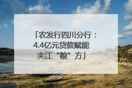 农发行四川分行：4.4亿元贷款赋能夹江“粮”方