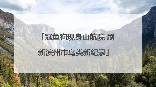 冠鱼狗现身山航院 刷新滨州市鸟类新纪录