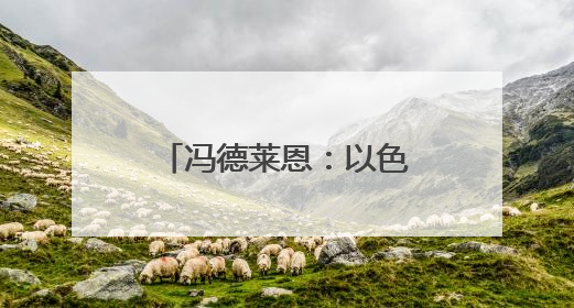 冯德莱恩：以色列打击加沙民用设施“令人憎恶”