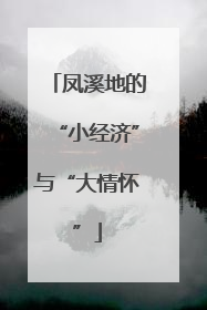 凤溪地的“小经济”与“大情怀”