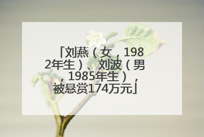 刘燕（女，1982年生）、刘波（男，1985年生），被悬赏174万元