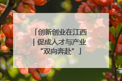 创新创业在江西｜促成人才与产业“双向奔赴”