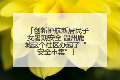 创新护航新居民子女暑期安全 温州鹿城这个社区办起了“安全市集”