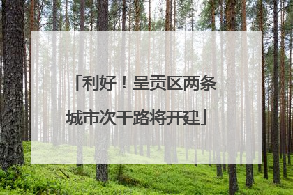 利好！呈贡区两条城市次干路将开建